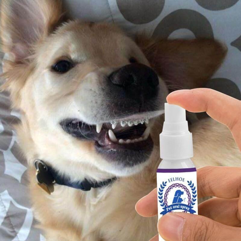 Spray Oral Eliminador de Tártaro e Mau Hálito Pet - FREEDROP